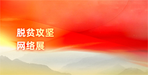 脫貧攻堅網絡展
