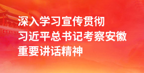 深入學習宣傳貫徹習近平總書記考察安徽重要講話精神